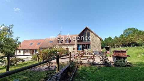 FERTE MACE - MAISON D'ARCHITECTE / GITE