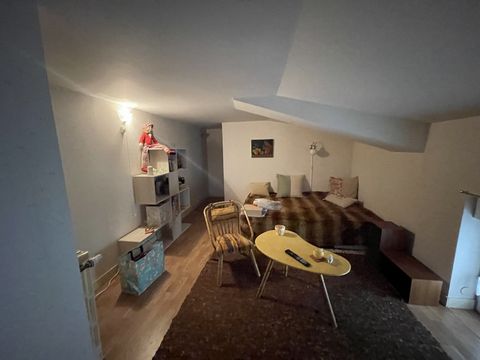 photo no. 17