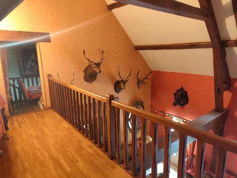 photo no. 12