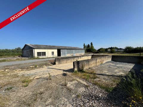 Bâtiment industriel, polyvalent de 600 m² sur un terrain de 5500 m2