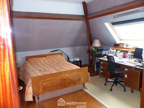 photo no. 16