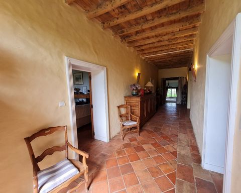 photo no. 13