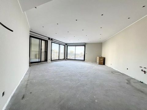 photo no. 12