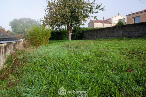 photo no. 14