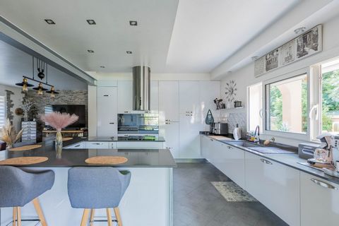 photo no. 11