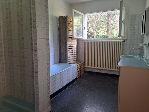 photo no. 12