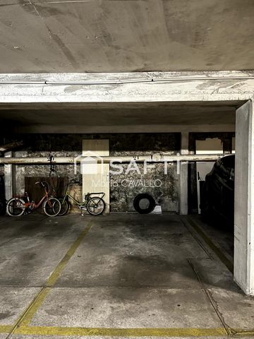 photo no. 14
