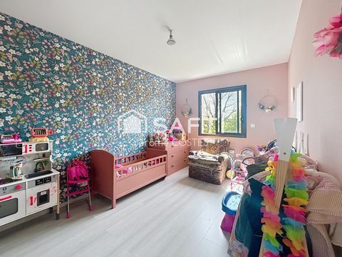 photo no. 7