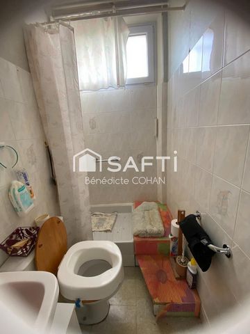 photo no. 12