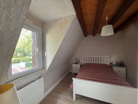 photo no. 11