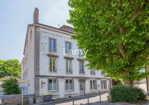 Appartement + cave + grenier + garage