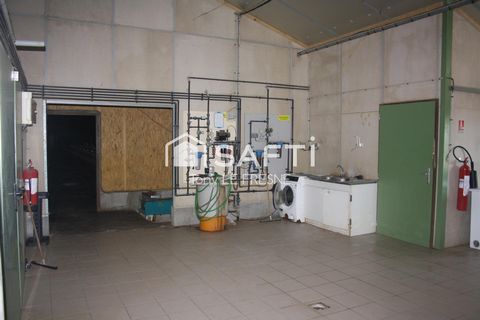 photo no. 5