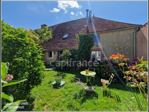 Maison 172M2, 4 Chambres, 1 Salle de Bain, 2 salle d'eau, 1113M2 DE TERRAIN TOUCY (89)
