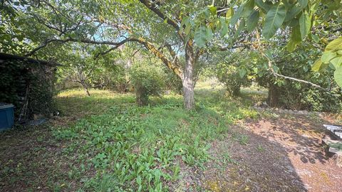 photo no. 15