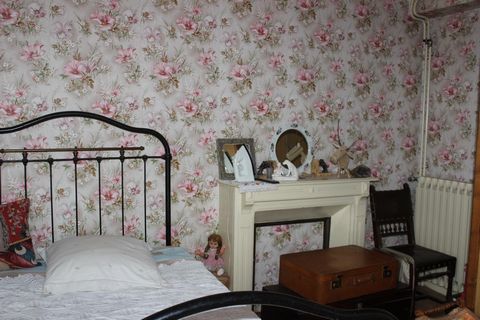 photo no. 8