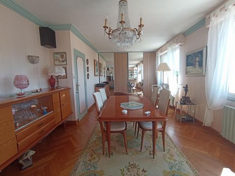 photo no. 6