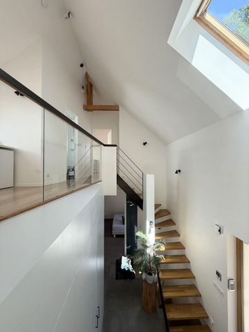photo no. 12