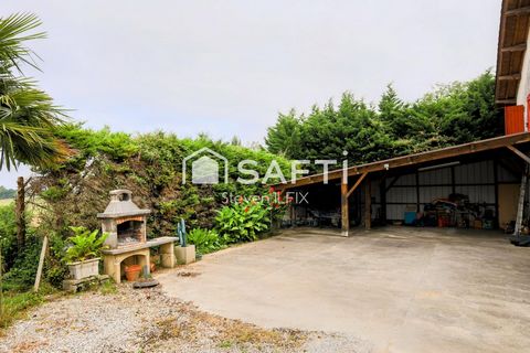 photo no. 13