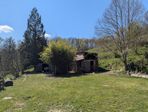 photo no. 2