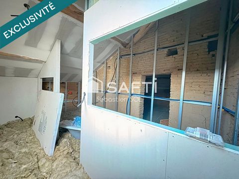 photo no. 11