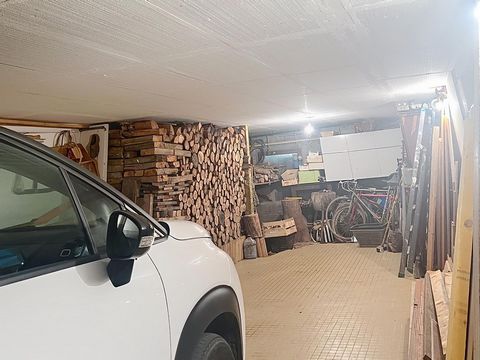 photo no. 11