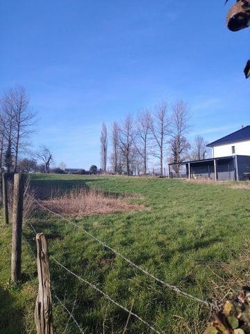 photo no. 2