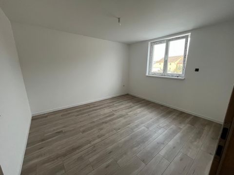 photo no. 12