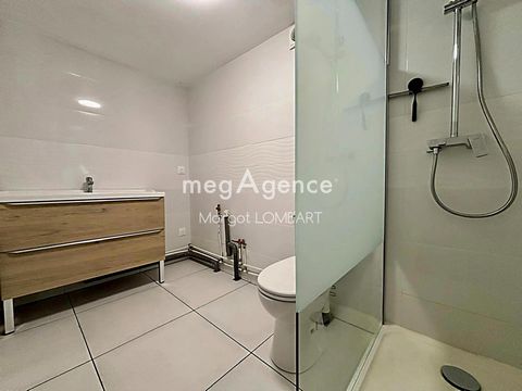 photo no. 11