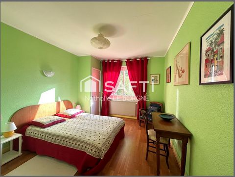 photo no. 11