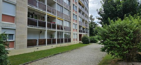 photo no. 11