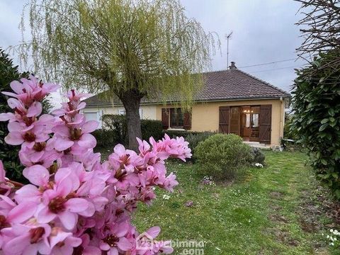 photo no. 3