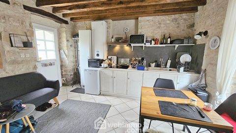 photo no. 19