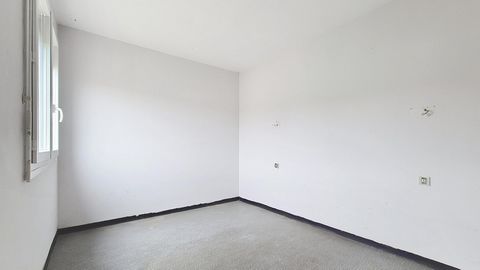 photo no. 6