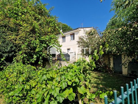 photo no. 10