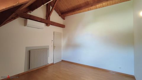 photo no. 11