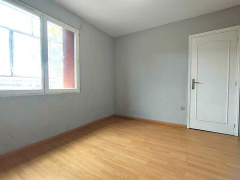photo no. 6