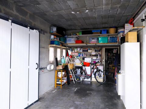 photo no. 9