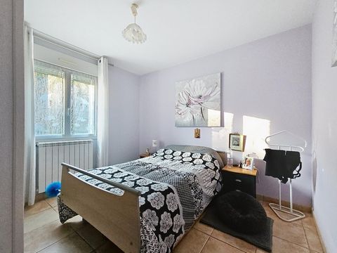 photo no. 5