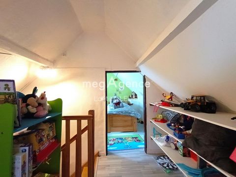 photo no. 13