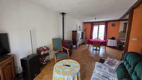 photo no. 6
