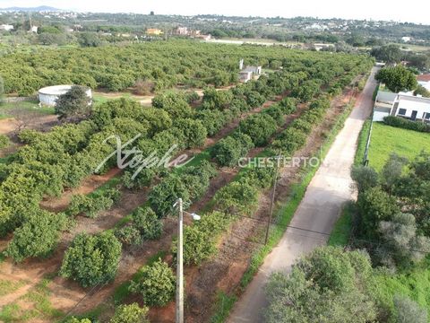 Located in Loulé. Set on an expansive 42,350m² plot, this outstanding property offers a rare opportunity to build a contemporary single-storey villa with a total approved construction area of 537m², accompanied by a spacious 366m² basement and a 63m²...