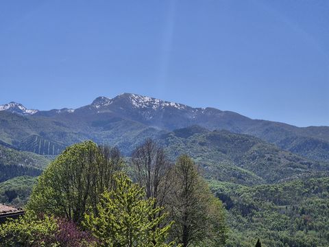 photo no. 3