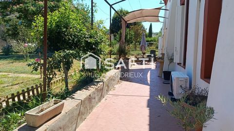 photo no. 14