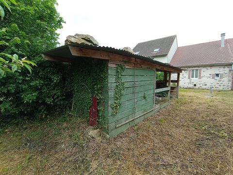 photo no. 6