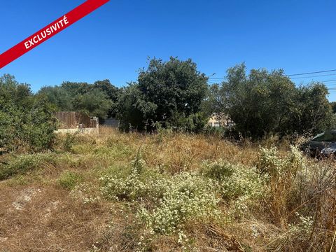 Terrain constructible