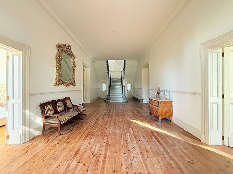 photo no. 3