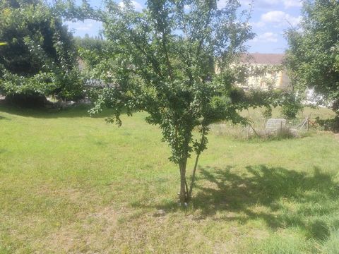 photo no. 2