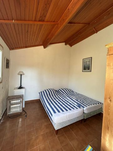 photo no. 10