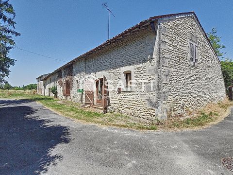 photo no. 3