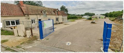 ?? À VENDRE MURS DUN ATELIER AGROALIMENTAIRE AUX NORMES AVEC QUAI + BUREAUX SANCOINS (18600)